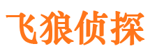 双塔外遇调查取证